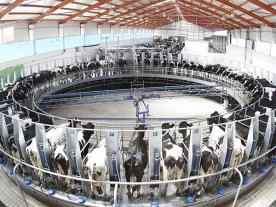 SCR轉(zhuǎn)盤(pán)式奶牛擠奶機(jī)