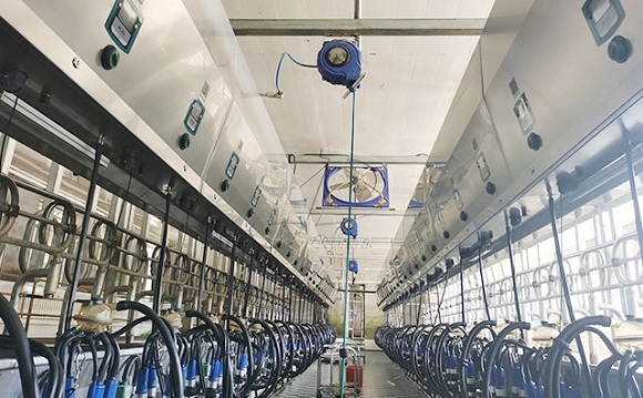 scr并列式奶牛<a href=/ target=_blank class=infotextkey>擠奶機(jī)</a>