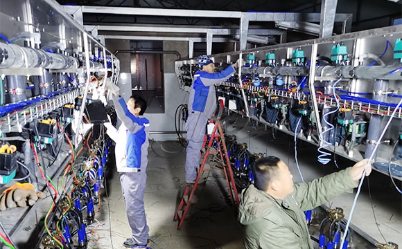 scr并列式奶牛<a href=/ target=_blank class=infotextkey>擠奶機(jī)</a>