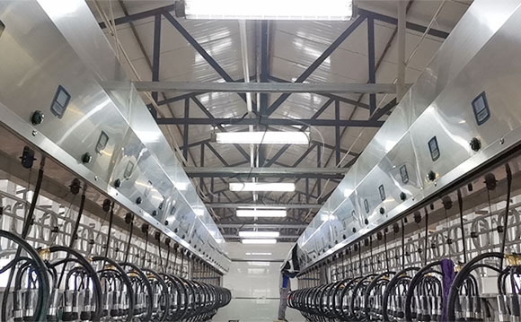 scr并列式奶牛<a href=/ target=_blank class=infotextkey>擠奶機(jī)</a>