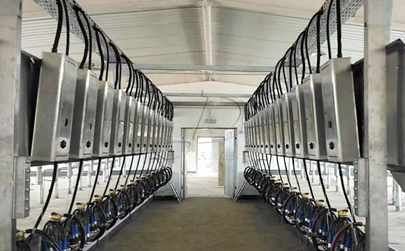 并列式奶牛<a href=/ target=_blank class=infotextkey>擠奶機(jī)</a>