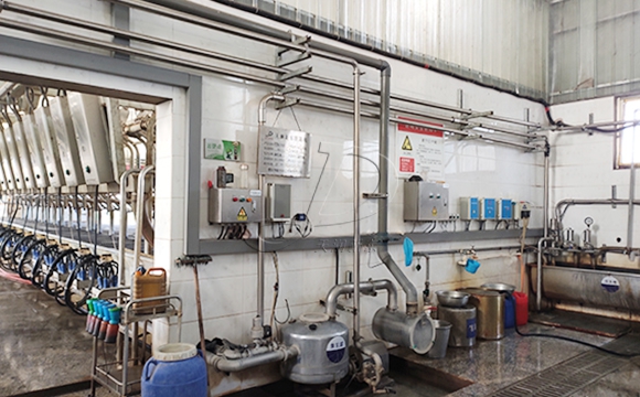 scr并列式牛奶<a href=/ target=_blank class=infotextkey>擠奶機(jī)</a>