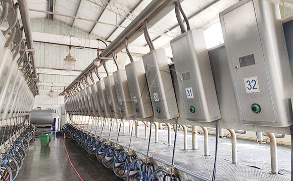 scr并列式牛奶<a href=/ target=_blank class=infotextkey>擠奶機(jī)</a>