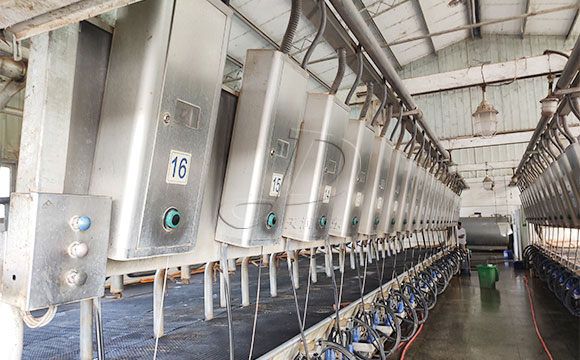 scr并列式牛奶<a href=/ target=_blank class=infotextkey>擠奶機(jī)</a>