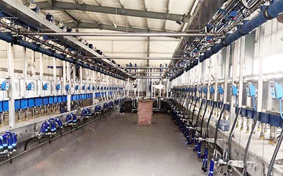 并列式奶山羊<a href=/ target=_blank class=infotextkey>擠奶機</a>