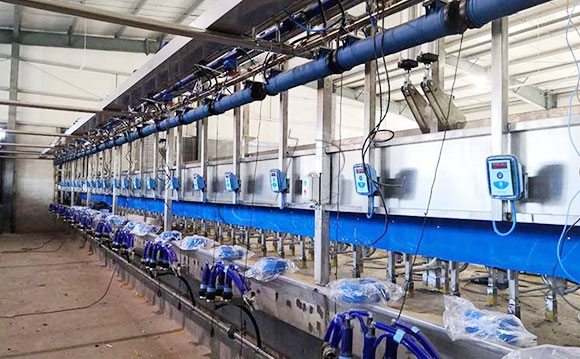 并列式奶山羊<a href=/ target=_blank class=infotextkey>擠奶機</a>