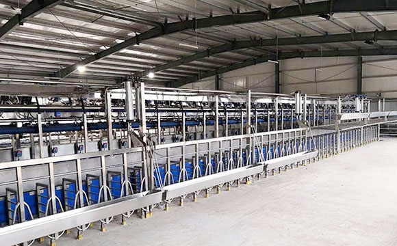 并列式奶山羊<a href=/ target=_blank class=infotextkey>擠奶機</a>