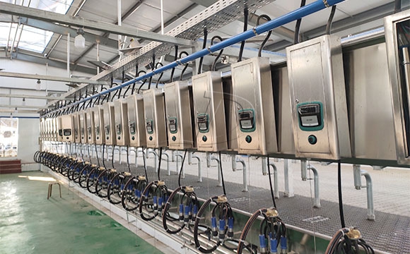 2*25奶牛<a href=/ target=_blank class=infotextkey>擠奶機(jī)</a>