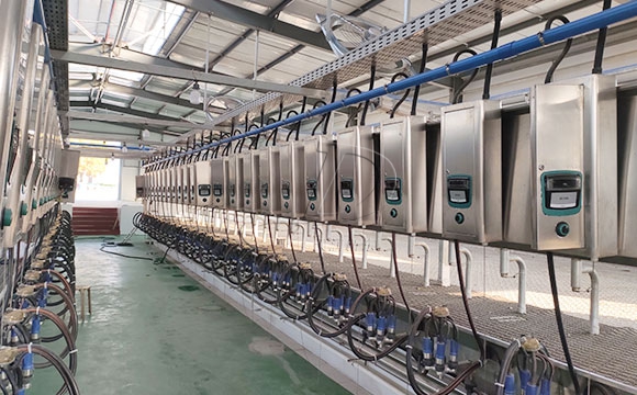 2*25奶牛<a href=/ target=_blank class=infotextkey>擠奶機(jī)</a>