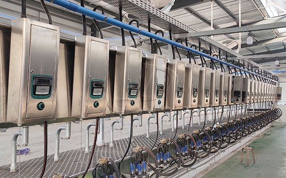 2*25奶牛<a href=/ target=_blank class=infotextkey>擠奶機(jī)</a>