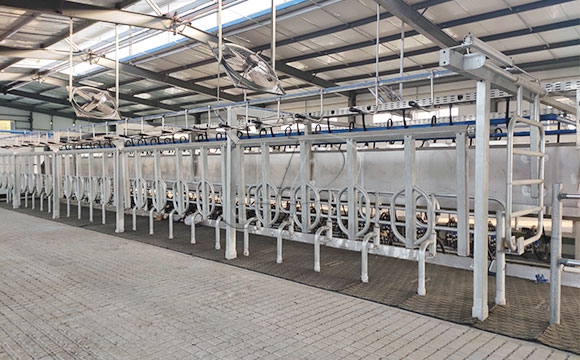 2*25奶牛<a href=/ target=_blank class=infotextkey>擠奶機(jī)</a>