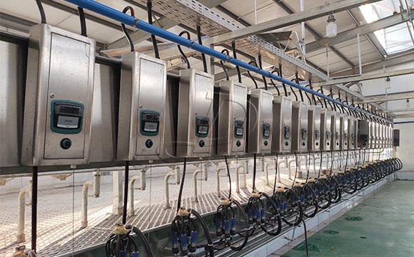 2*25奶牛<a href=/ target=_blank class=infotextkey>擠奶機(jī)</a>