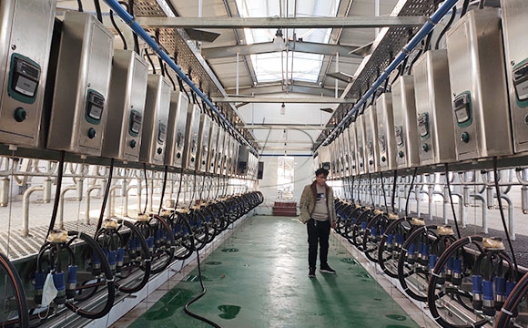 2*25奶牛<a href=/ target=_blank class=infotextkey>擠奶機(jī)</a>