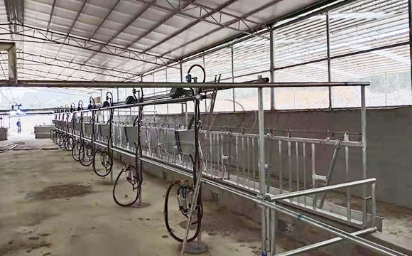 廣西水牛<a href=/ target=_blank class=infotextkey>擠奶機(jī)</a>