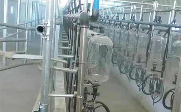 魚骨式計量瓶奶牛<a href=/ target=_blank class=infotextkey>擠奶機</a>