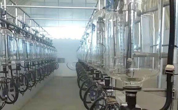 魚骨式計量瓶奶牛<a href=/ target=_blank class=infotextkey>擠奶機</a>