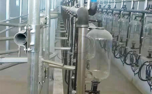 魚骨式計量瓶奶牛<a href=/ target=_blank class=infotextkey>擠奶機</a>