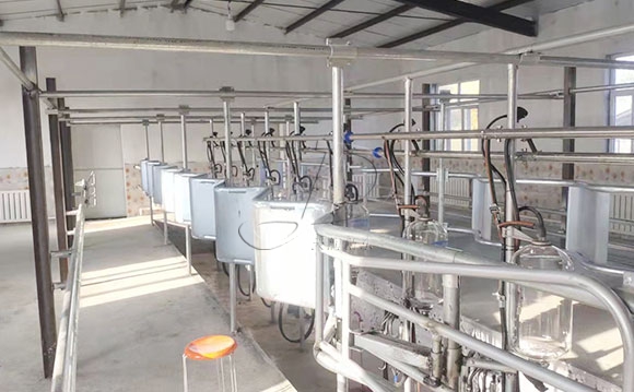 中置式<a href=/ target=_blank class=infotextkey>擠奶機(jī)</a>